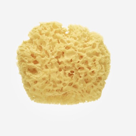 Esponja Natural Premium Saro