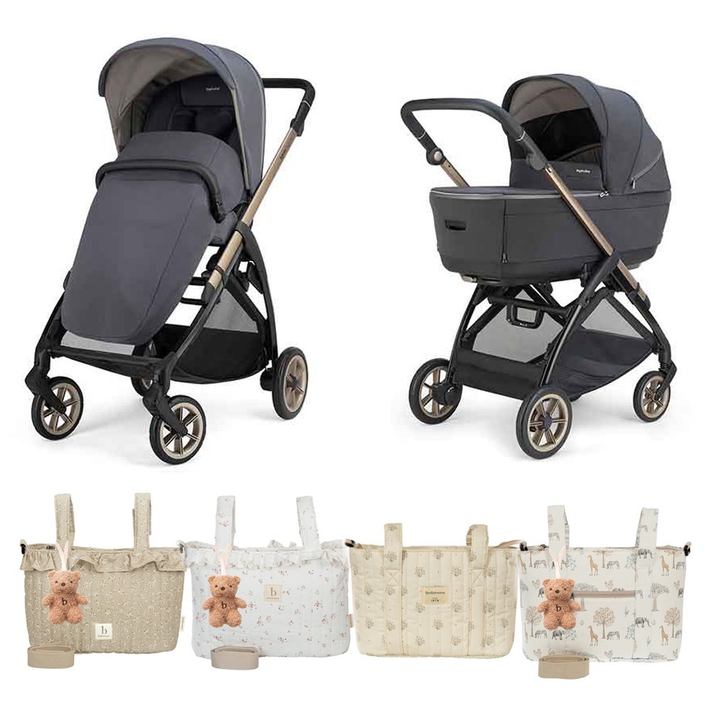 Inglesina Electa 2026 + Bolso Regalo | Carrito Ligero