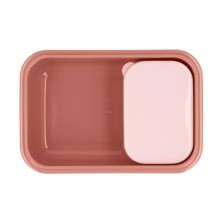 Caja Almuerzo Bento Mouse Fairies Tutete | Fiambrera Infantil